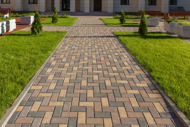 Best Commercial Driveway Paving in Waterloo, WI